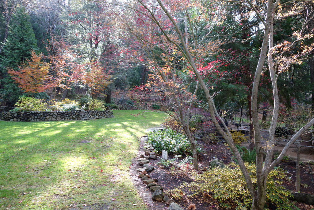 Dunsmuir Botanical Gardens, Siskiyou