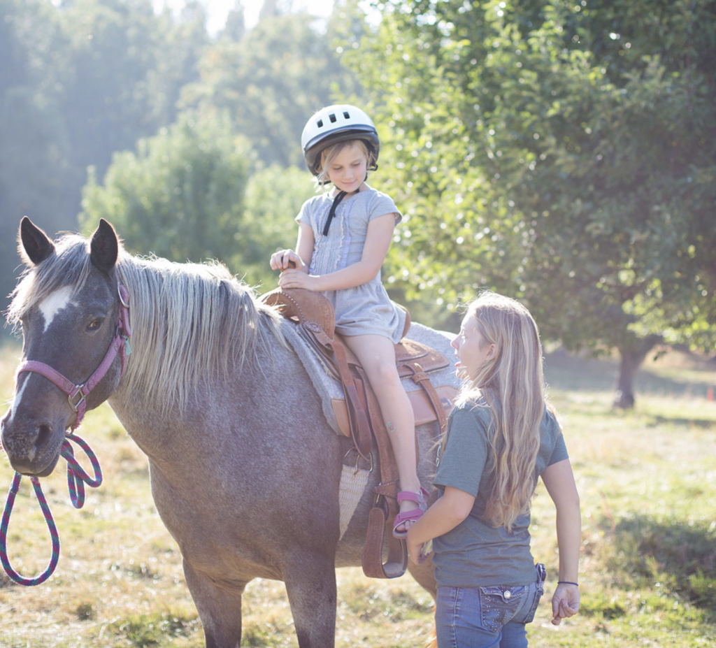 Kidder Creek Fall Festival 2023 Discover Siskiyou